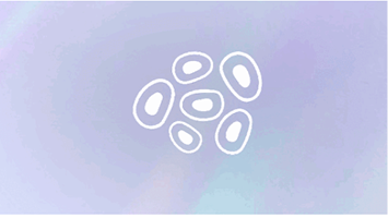 skin micro relief
